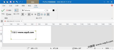 PicPick Professional 7.3.1 Free